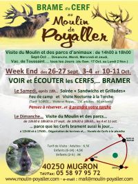 Brâme du cerf au Moulin de Poyaller. Du 26 septembre au 11 octobre 2015 à Mugron. Landes. 